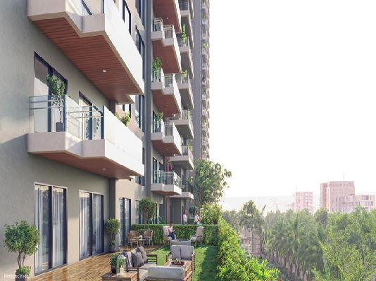 3 BHK Flat In Ace Verde For Sale  In Sector 22a