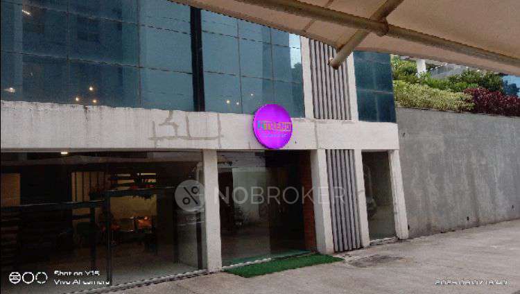 2 BHK Flat In Highpoint Itrend Homes Phase 2 for Rent  In Hinjawadi