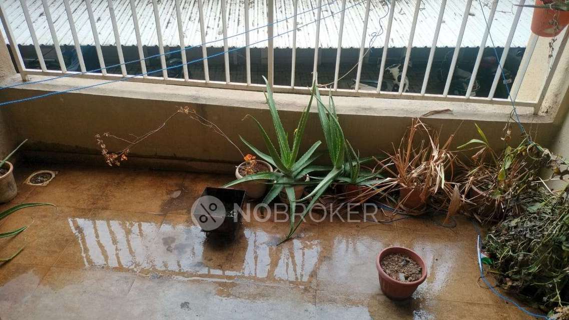 2 BHK Villa In Citrine Co-op Housing Society for Rent  In Marunji Village