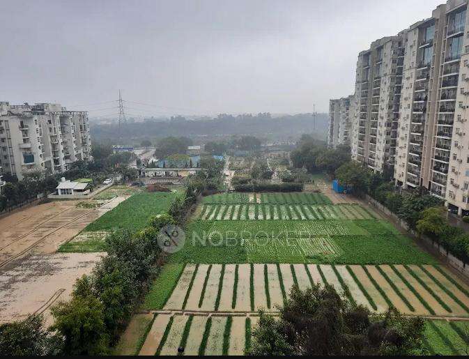 1 RK Flat In Omaxe Heights For Sale  In Sector 86