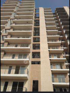 3 BHK Flat In Rof Alante For Sale  In Dharampur