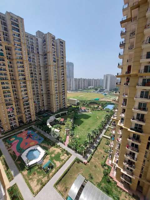 3 BHK Flat In Apex Athena, Sector 75, Noida, Uttar Pradesh, India for Rent  In Sector 75, Noida, Uttar Pradesh, India