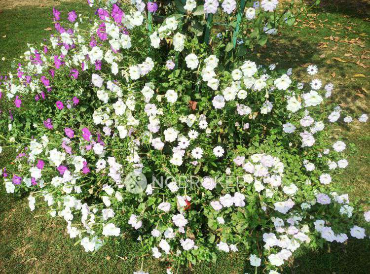 2 BHK Flat In Ats Allure For Sale  In Ch6r+7r7, Urf, Nyana, Aminaabad Urf Nyana, Uttar Pradesh 203202, India