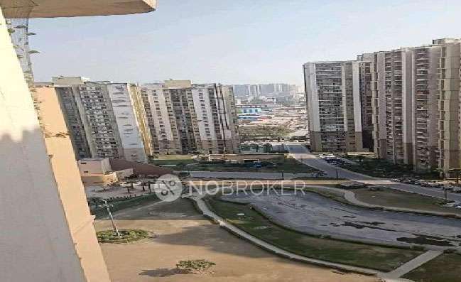 2 BHK Flat In Paras Tierea for Rent  In Sector 137