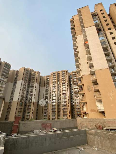 3 BHK Flat In Nirala Greenshire for Rent  In Patwari