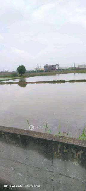 Plot For Sale  In Sector 146 