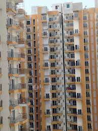 2 BHK Flat In Amrapali Tropical Garden for Rent  In Sector - 106