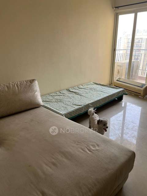 1 BHK Flat In Maxbliss Grand Wilington for Rent  In Sector 75