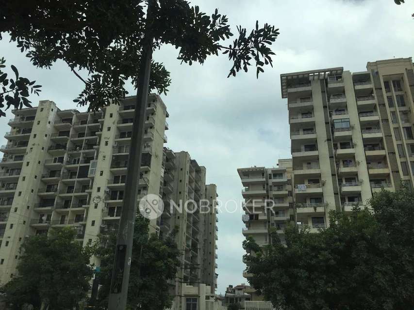 4+ BHK Flat In Satguru Apartment, Sector 52 for Rent  In Sector 52