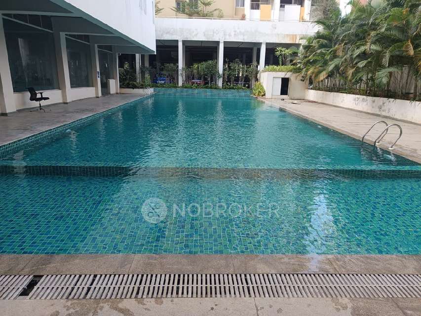 2 BHK Flat In Slv Pragathi Amber for Rent  In Electronic City