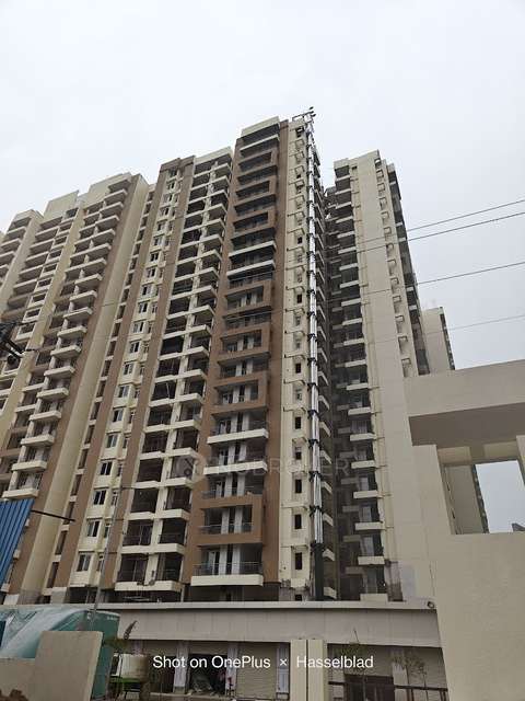 2 BHK Flat for Rent  In Amrapali Kingswood