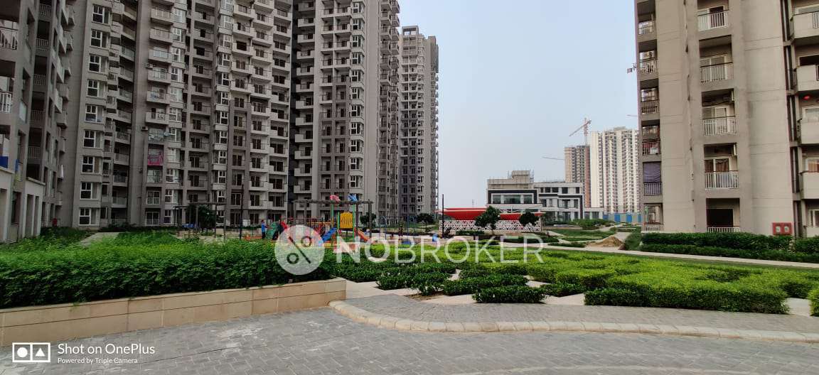 2 BHK Flat In Shri Radha Sky Garden for Rent  In Graeter Noida West