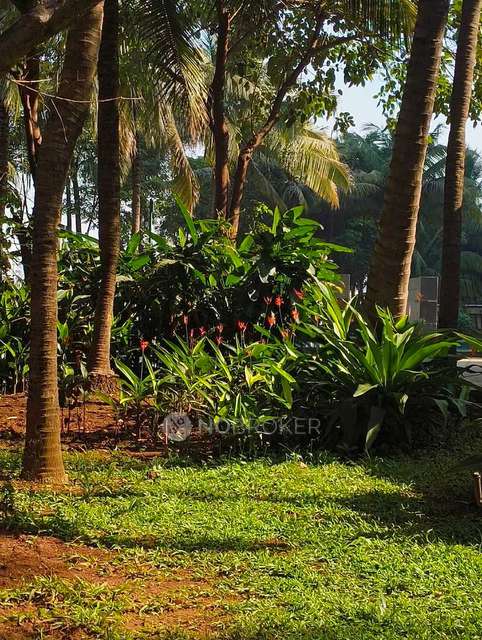 Single Room for Male In 3 BHK  In Megapolis Sangria Towers In Hinjawadi