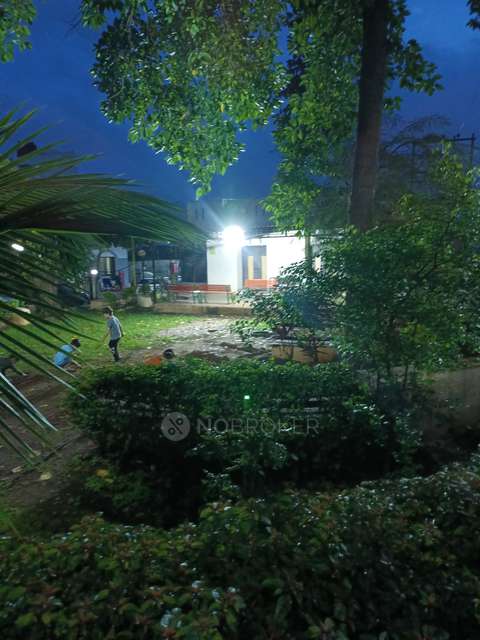 3 BHK Flat In Swadesh Golden Orchid Villa for Rent In Moshi