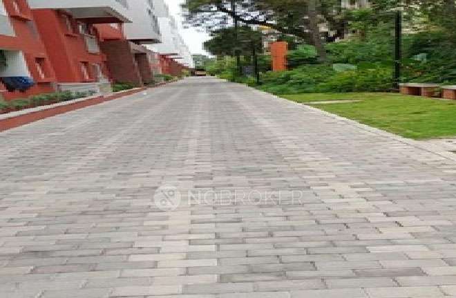 2 BHK Flat In Brigade Parkside North for Rent  In Brigade Parkside North