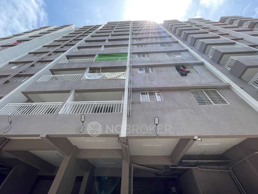 1 BHK Flat In Pavallion for Rent  In Ambegaon Budruk