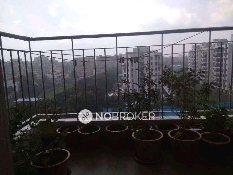 1 BHK Flat In Sterling Blooms, Rahatani For Sale  In Rahatani