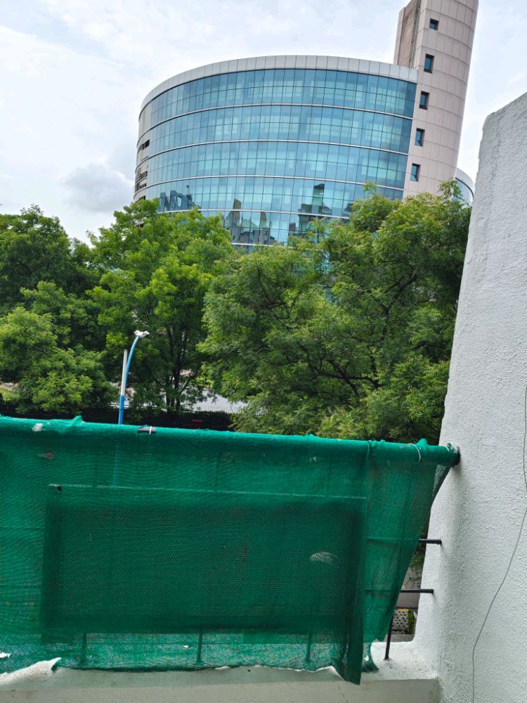 Magarpatta City Iris