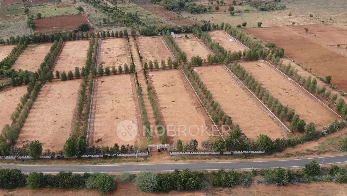 Plot For Sale  In Arvhh In Gowribidanur