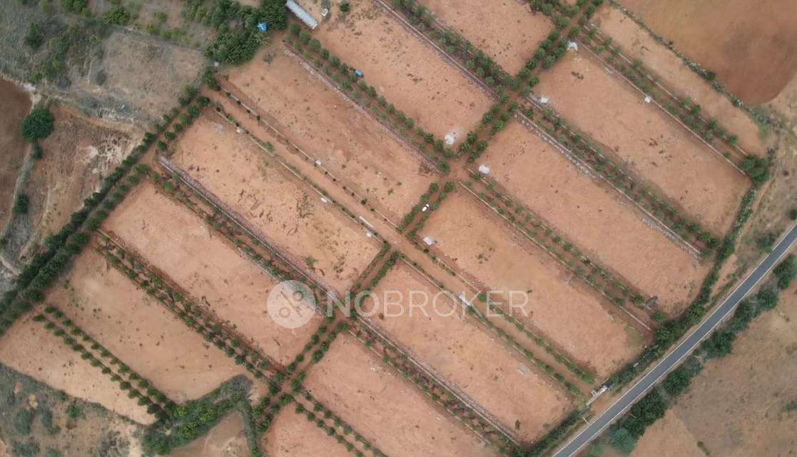 Plot For Sale  In Arvhh In Gowribidanur