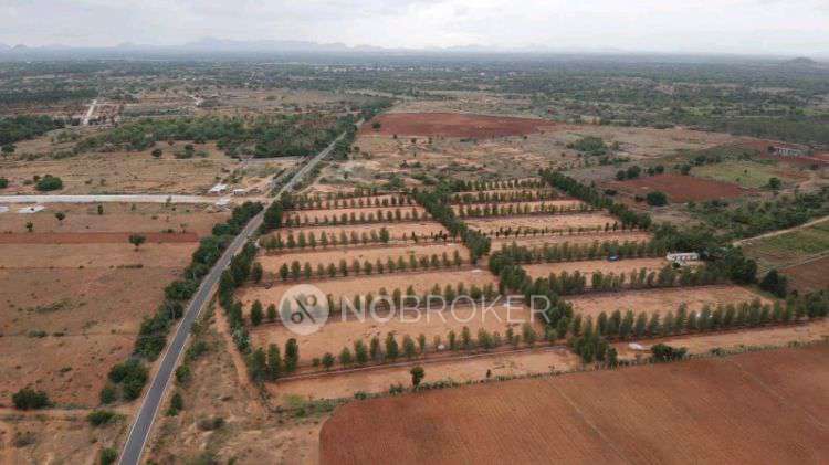 Plot For Sale  In Arvhh In Gowribidanur