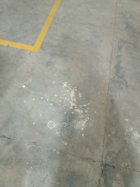 3 BHK Flat In V Top Valonia for Rent  In Punawale