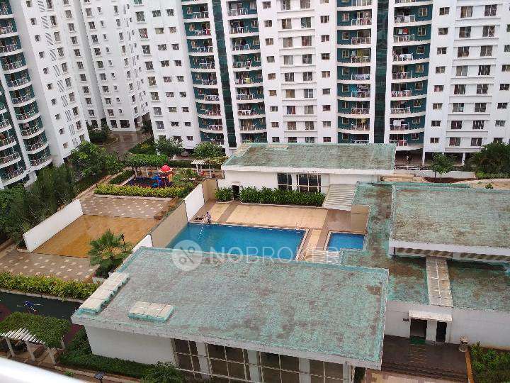 2 BHK Flat In Megapolis Splendour for Rent  In Hinjewadi