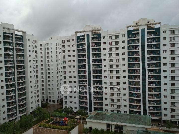 2 BHK Flat In Megapolis Splendour for Rent  In Hinjewadi