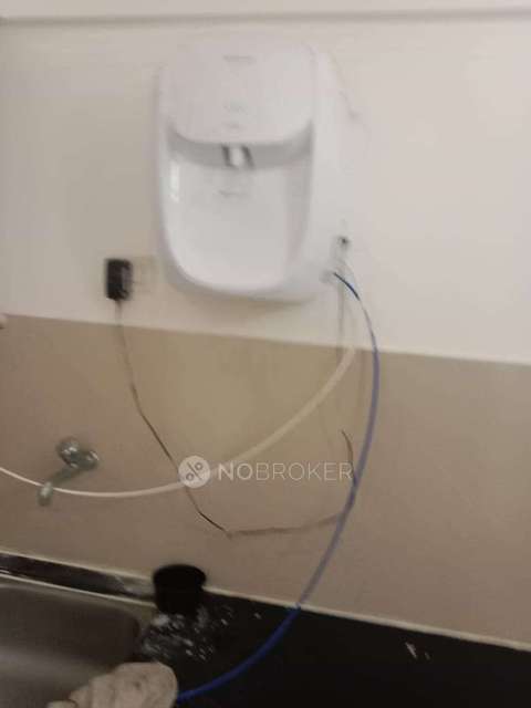 2 BHK Flat In Megapolis Sunway for Rent  In Hinjawadi