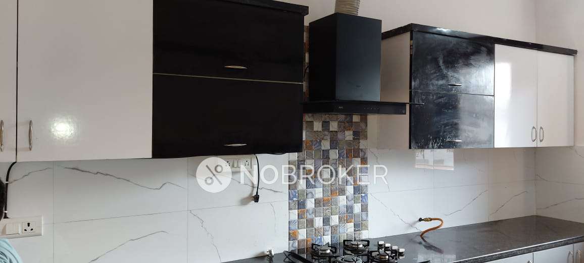 3 BHK Flat For Sale  In Dlf Phase Iv