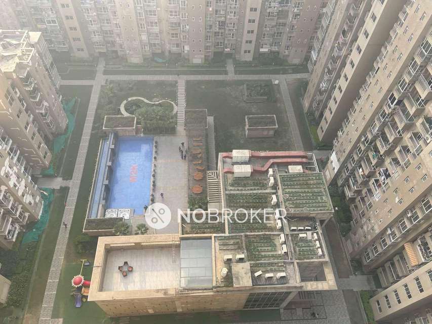 3 BHK Flat In M2k Victoria Gardens for Rent  In Ashok Vihar