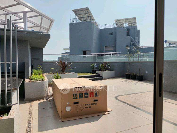 3 BHK Flat In Vj Yashwin Nuovo Centro (ync) for Rent  In Wakad