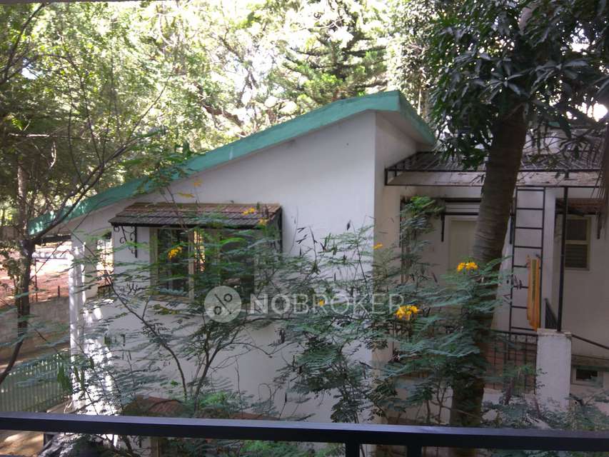 3 BHK Flat In Scion Harmony for Rent  In C V Raman Nagar