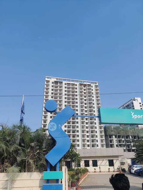 3 BHK Flat In Kohinoor Sportsville  for Rent  In Hinjewadi