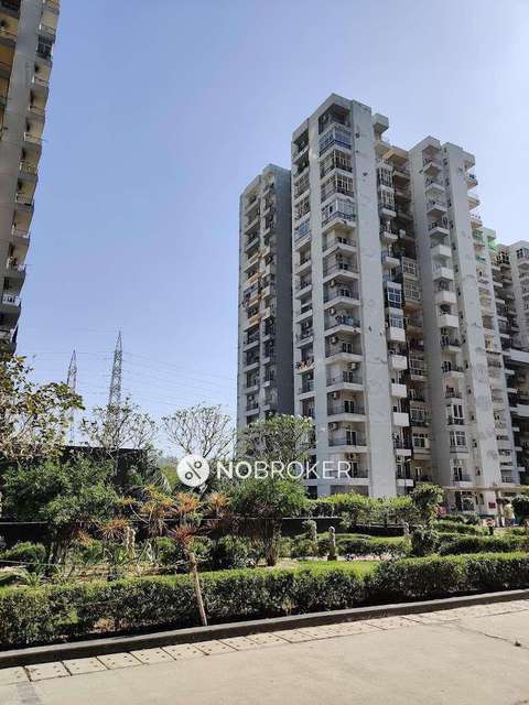 3 BHK Flat In Ajnara Homes for Rent  In Sector 121