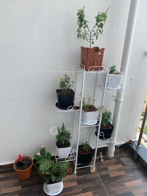 2 BHK Flat In Kotle Life Republic 4th Avenue for Rent  In Hinjewadi