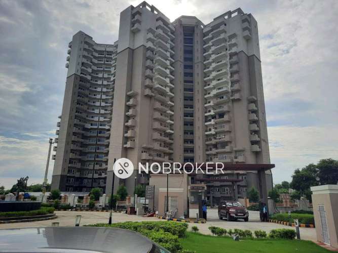 3 BHK Flat In Awho Shanti Vihar For Sale  In Sector 95