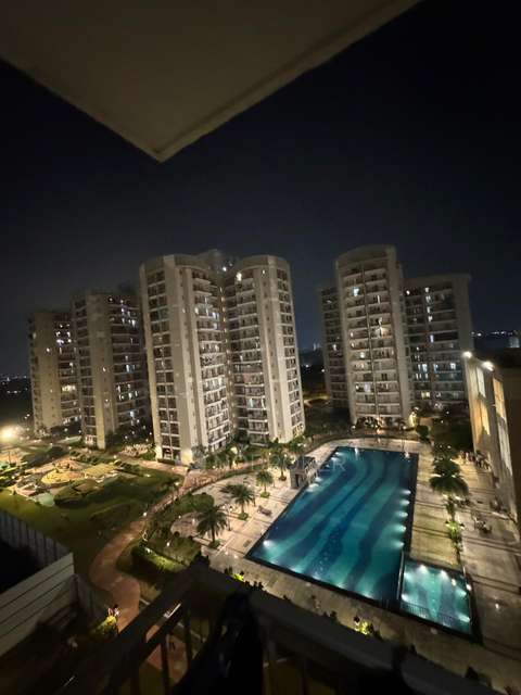 3 BHK Flat In Bptp Discovery Park  for Rent  In Sector 80