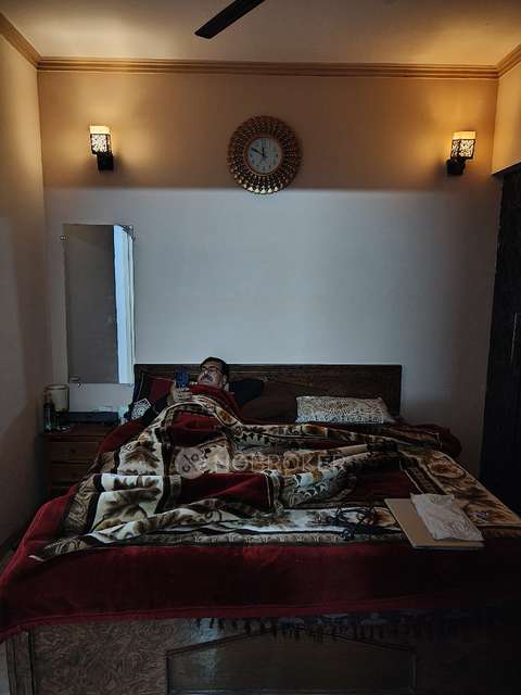 1 BHK Flat In 14th Avenue for Rent  In Gaur City 2