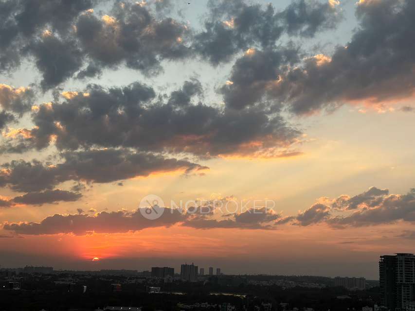 3 BHK Flat In Prestige Misty Waters for Rent  In Hebbal 