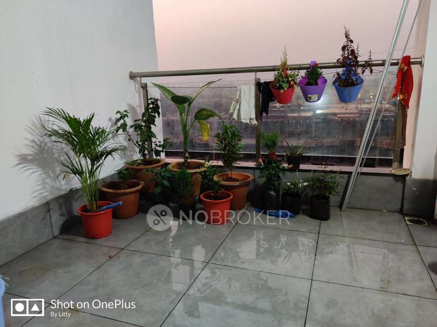 3 BHK Flat In Mahalunge Riviera for Rent  In Mahalunge
