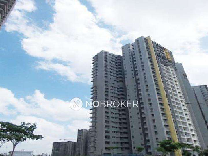 2 BHK Flat In Blue Ridge Unit D for Rent  In Hinjawadi 