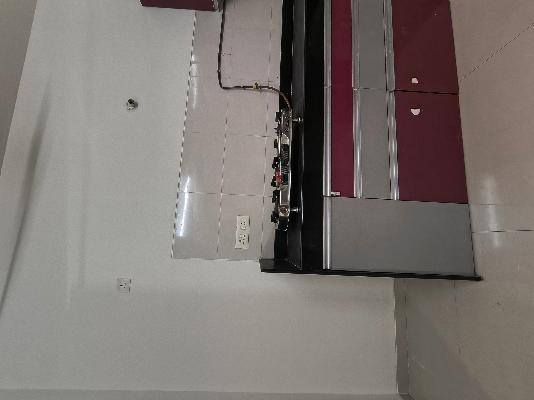 2 BHK Flat In Sai Eshanya for Rent  In Balewadi