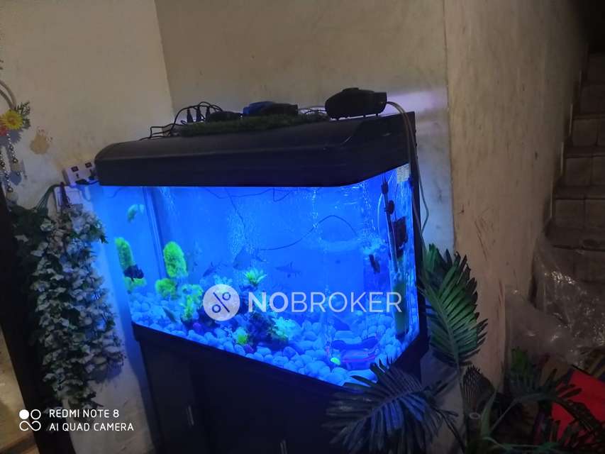 4 BHK Flat In Niho Scottish Gardens For Sale  In Indirapuram