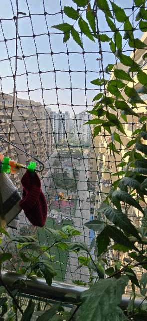 2 BHK Flat In Gaur Cascades For Sale  In Raj Nagar Extension