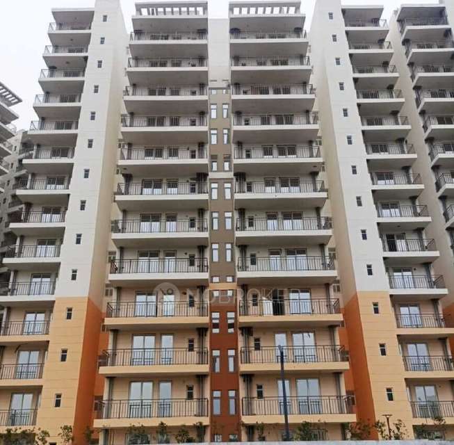 1 RK Flat In Rof Amaltas for Rent In Sector 92
