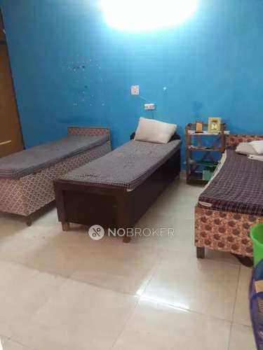 PG for Boys in Sector 41