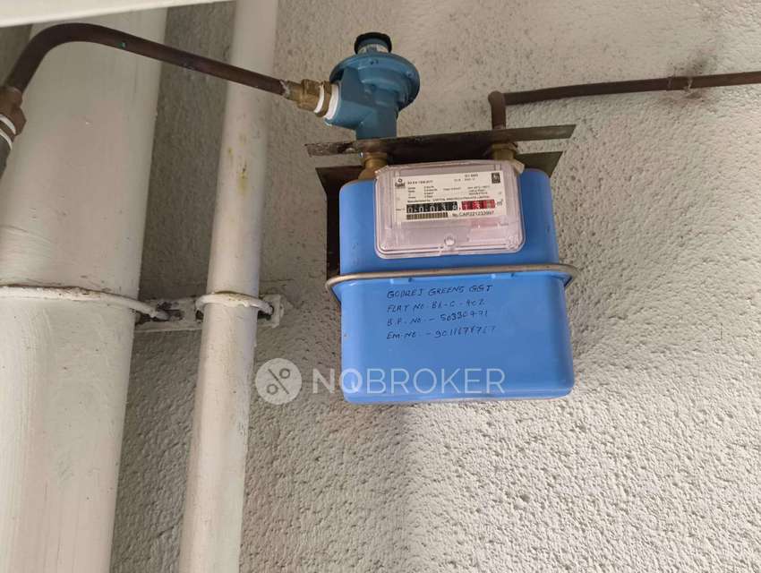 2 BHK Flat In Godrej Greens for Rent  In Undri