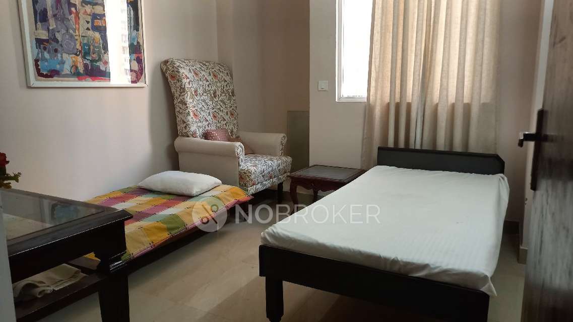 2 BHK Flat In Golf Homes & Kingswood  for Rent  In Sector 4, 