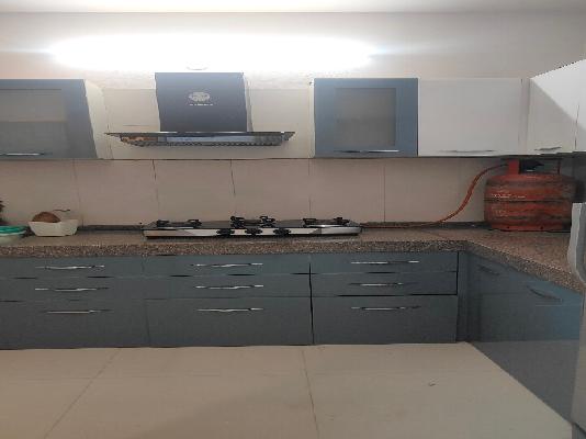 2 BHK Flat In Siddhashila Eela for Rent  In Punawale